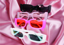 Load image into Gallery viewer, “Rich Bish” Shades
